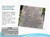Slide26
